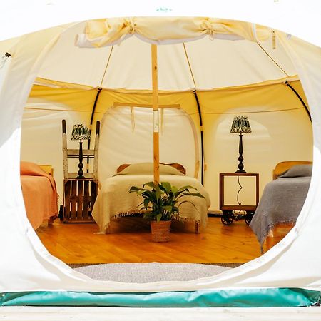 Luxury Glamping Retreat In Battle Villa Exteriör bild