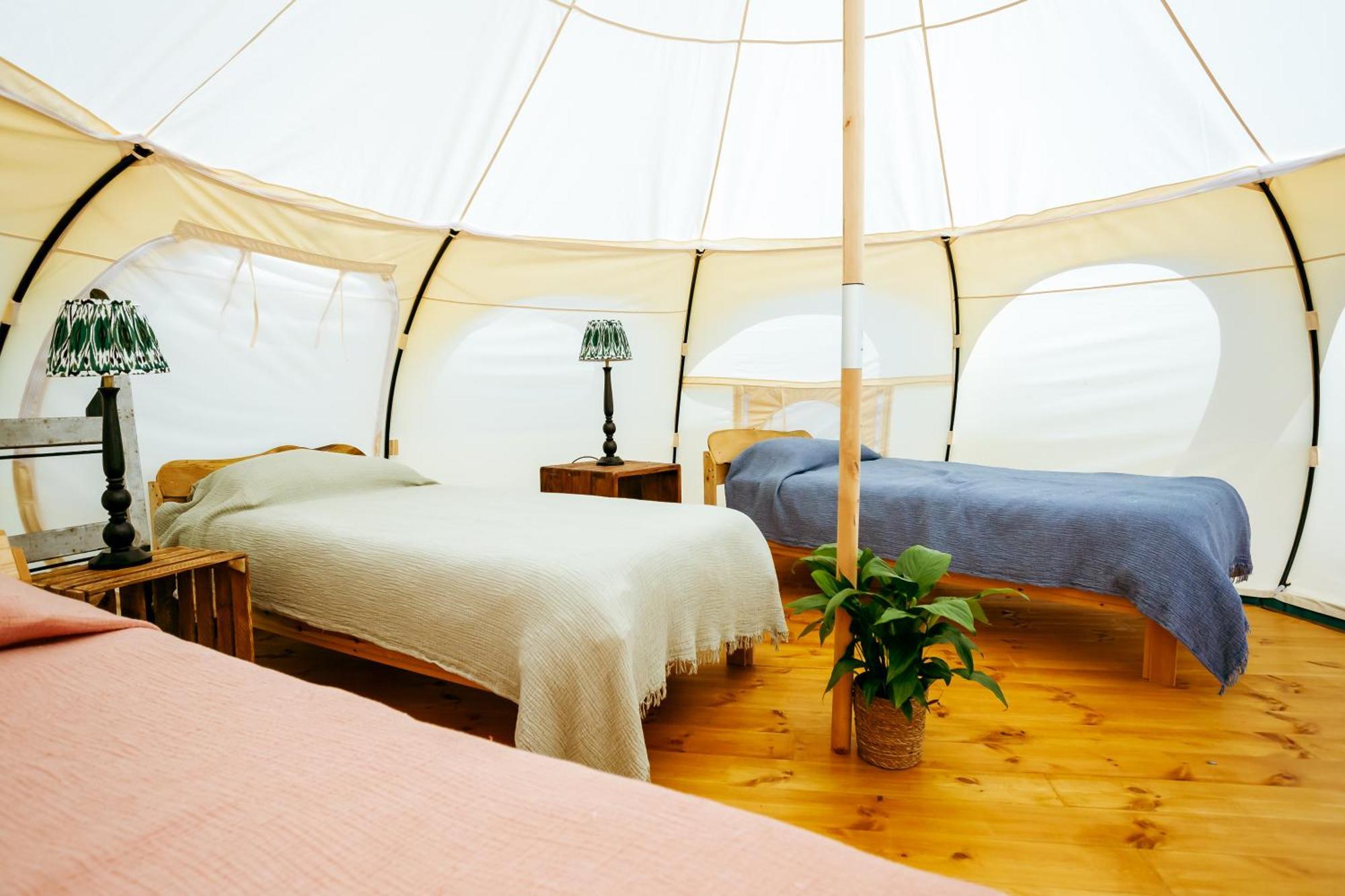 Luxury Glamping Retreat In Battle Villa Exteriör bild
